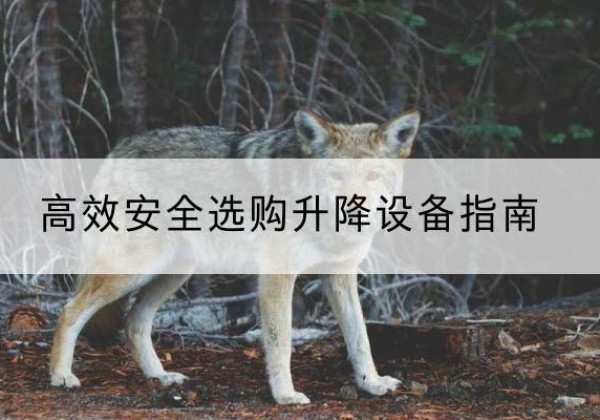 榆次升降货梯厂家推荐-*安全选购升降设备指南