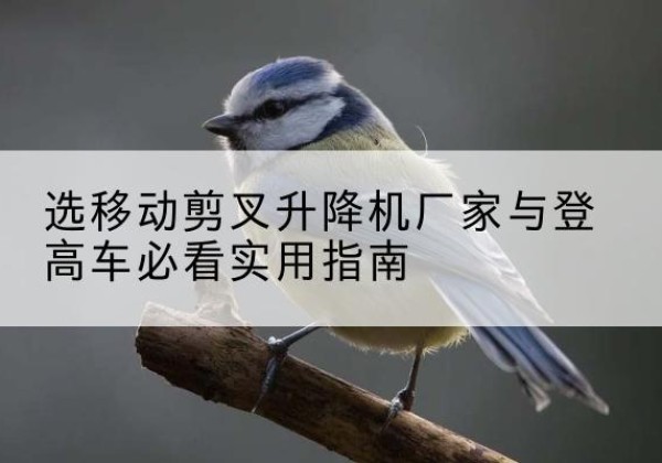 榆次电动升降机厂家-选移动剪叉升降机厂家与登高车必看实用指南